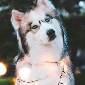 Meet your Posher, Ruth